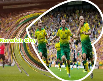 Norwich transfer